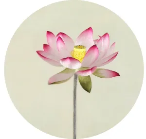 DIY Silk Embroidery kit Pink Lotus 2 20cm