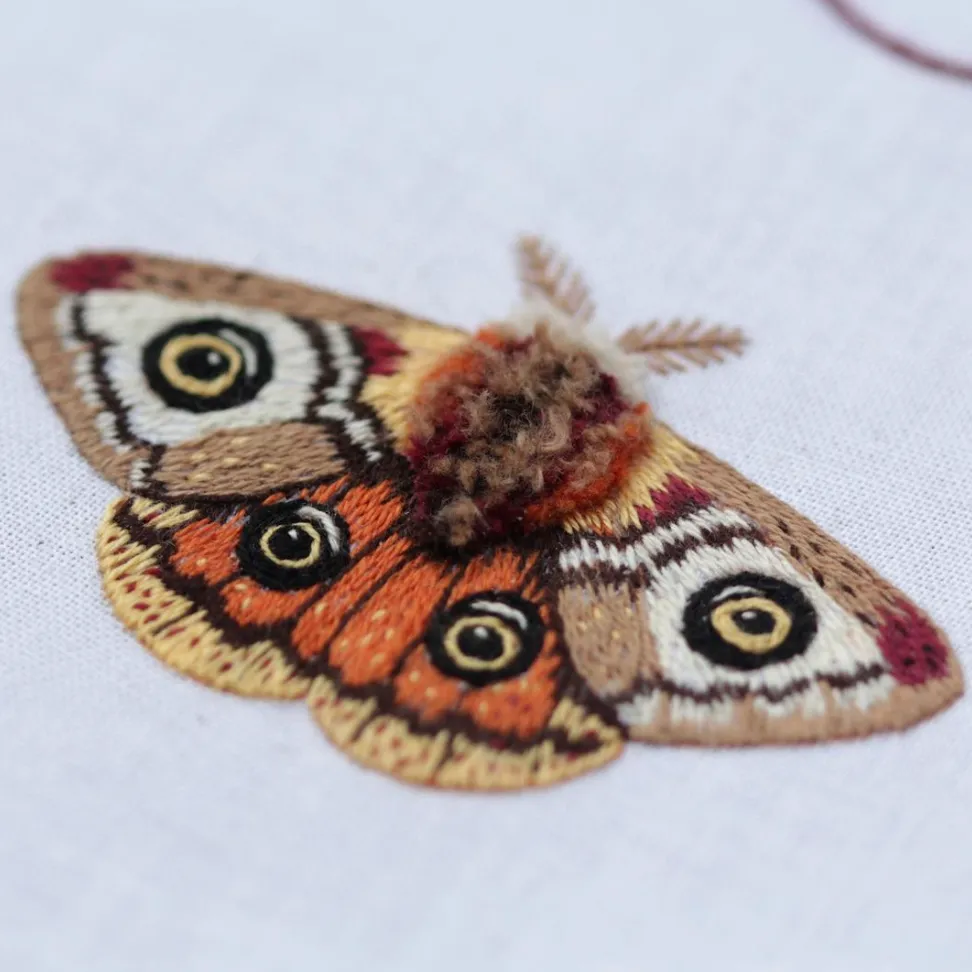 Embroidery Sampler Kit: Moth | Beginner