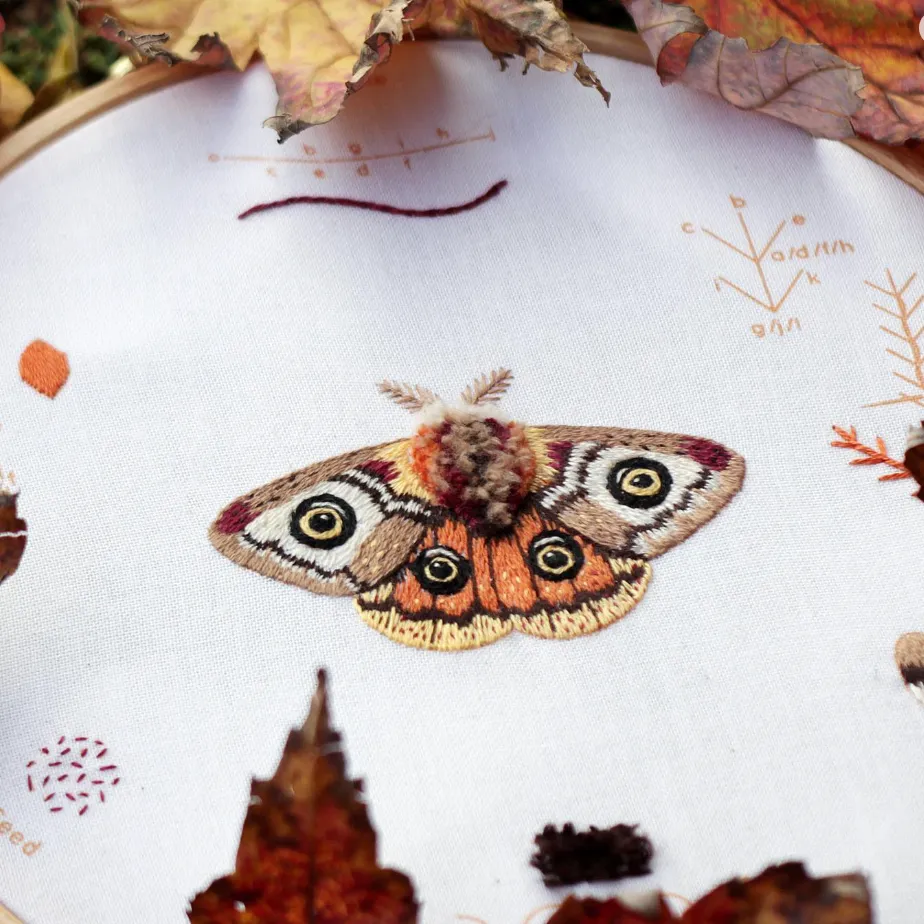 Embroidery Sampler Kit: Moth | Beginner