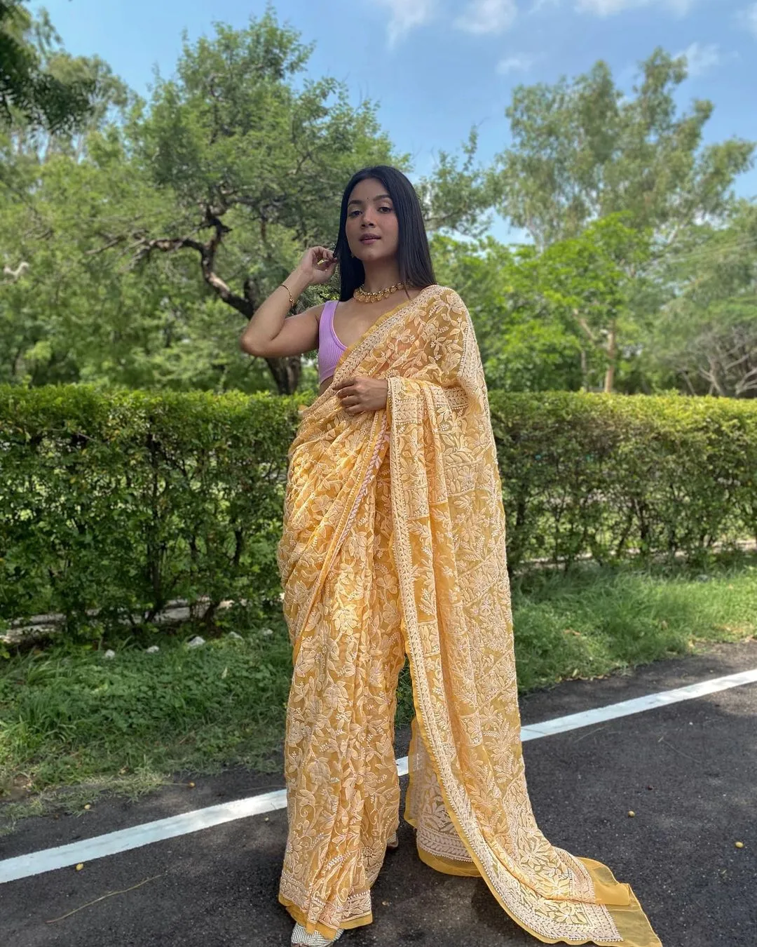 Gulzar Full Jaal Chikankari Saree